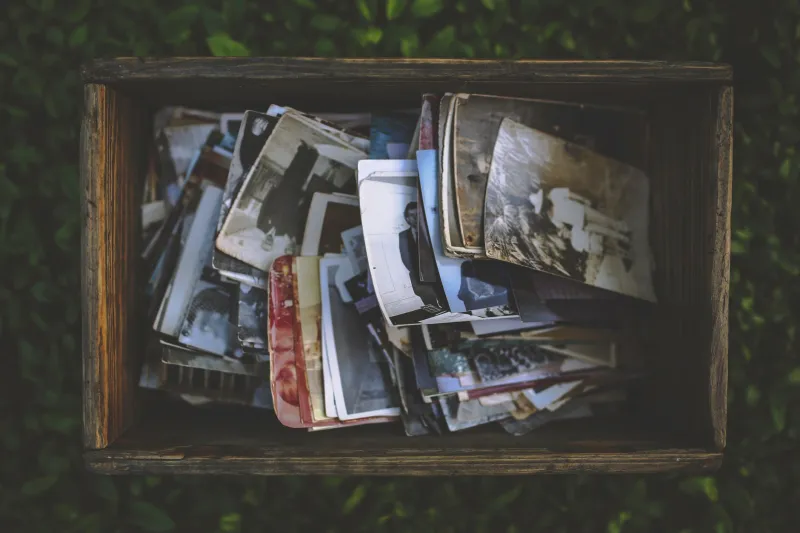 Dust, Light, and Memory: The Americans Quietly Rescuing Their Family Archives From Oblivion